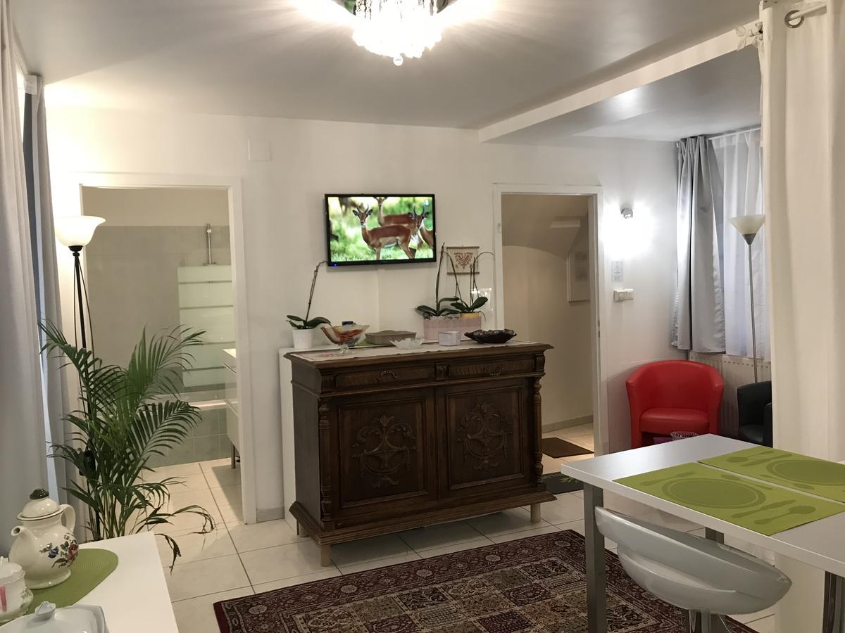 La Cour Des Cordonniers, Centre Cathedrale Petite France Apartment Strasbourg Bagian luar foto
