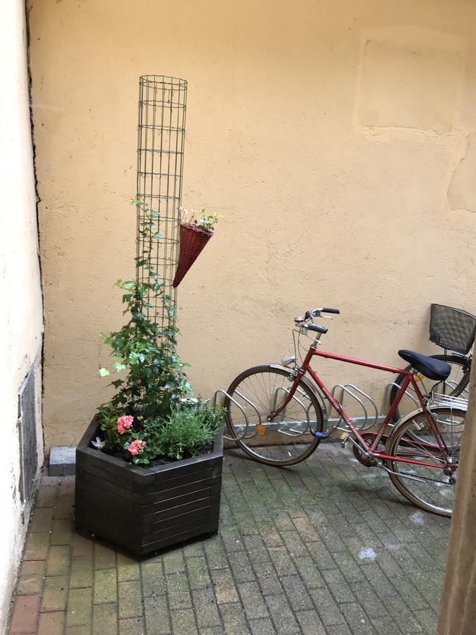 La Cour Des Cordonniers, Centre Cathedrale Petite France Apartment Strasbourg Bagian luar foto